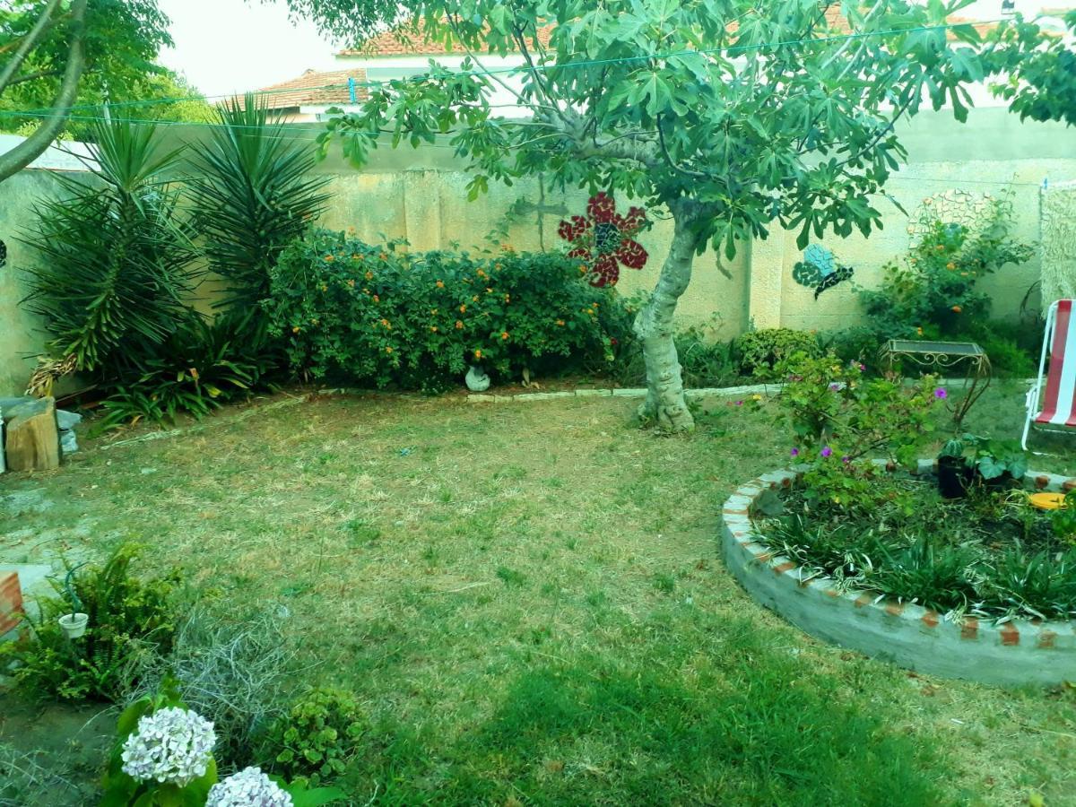 Chalet La Mambu Mar de Ajó 外观 照片